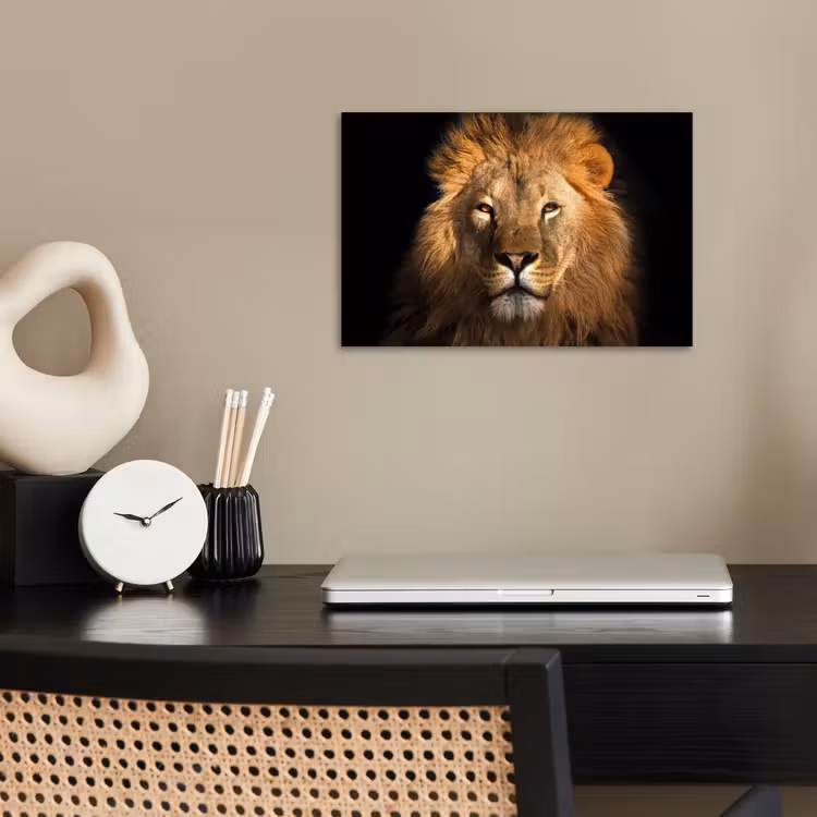 Leeuw - Dieren - Zwart - Licht - Bruin - Portret poster papier klein -sfeer1
