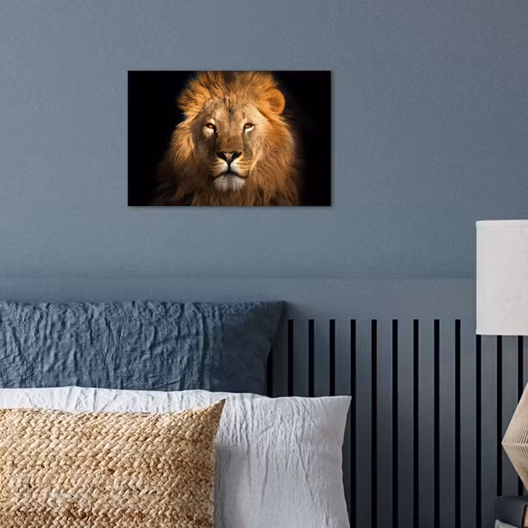 Leeuw - Dieren - Zwart - Licht - Bruin - Portret poster papier klein -sfeer2
