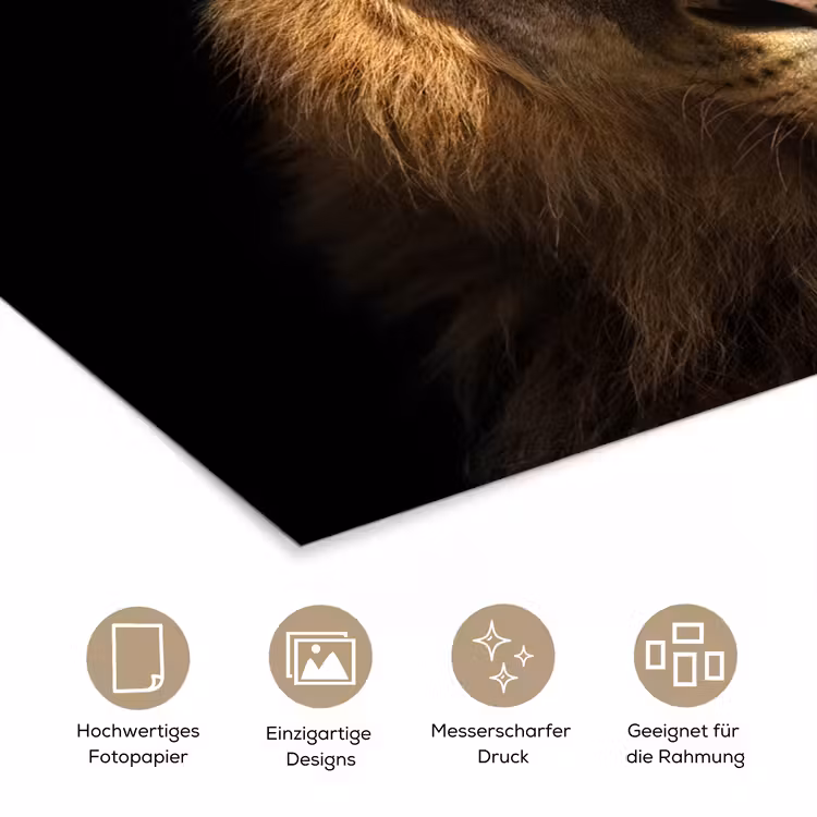 Leeuw - Dieren - Zwart - Licht - Bruin - Portret poster papier klein -tcloseup_DE