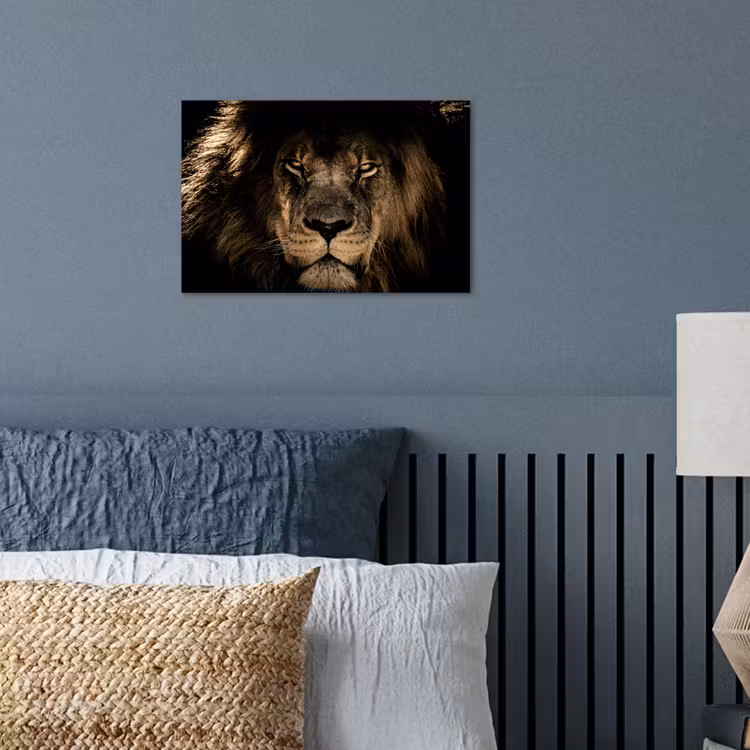 Leeuw - Dieren - Zwart - Portret poster papier klein -sfeer2