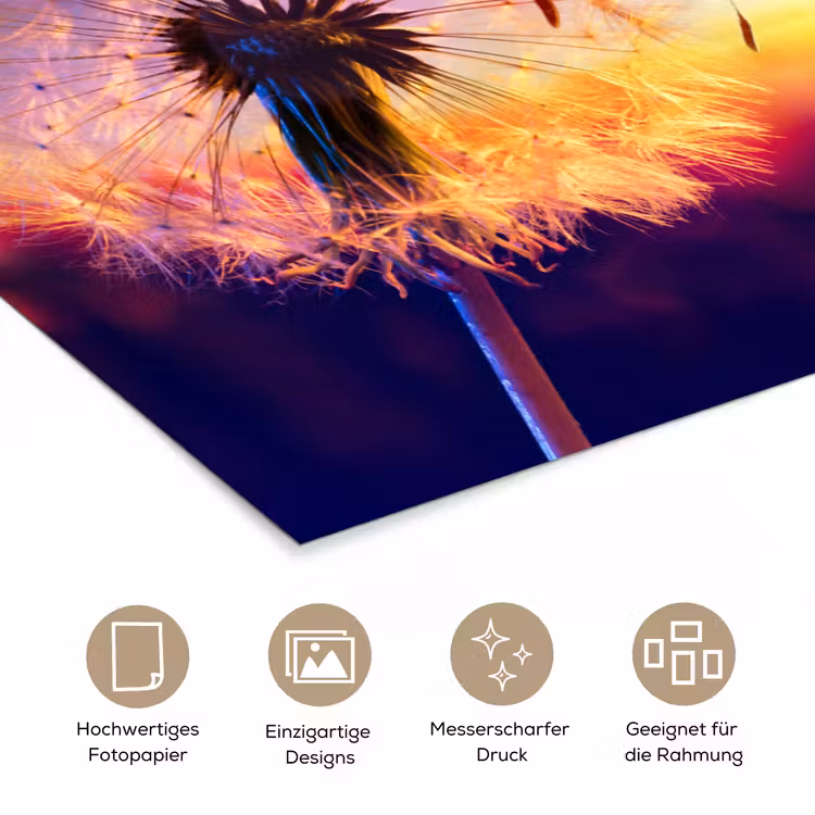 Paardenbloem - Bloemen - Zonsondergang - Horizon - Nacht poster papier klein -tcloseup_DE