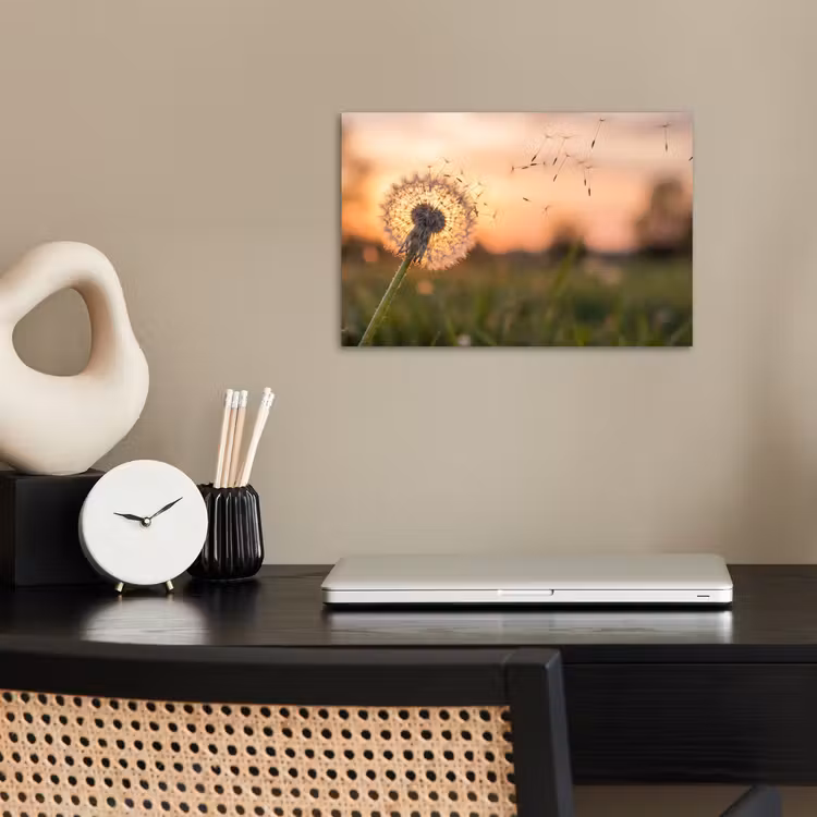 Paardenbloem - Zonsondergang - Veld poster papier klein -sfeer1