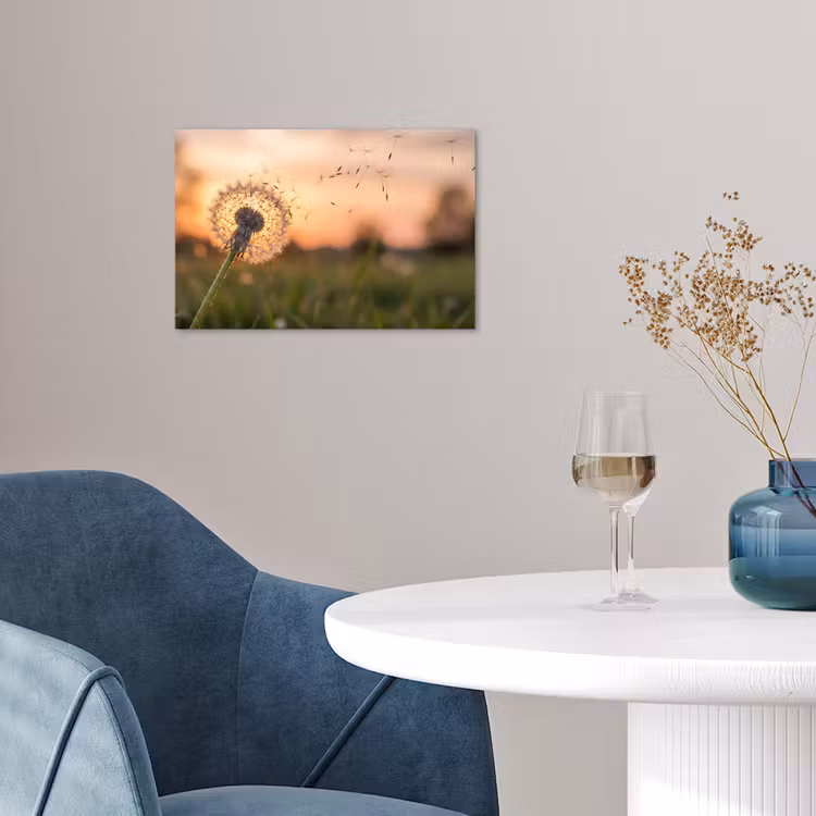 Paardenbloem - Zonsondergang - Veld poster papier klein -sfeer3