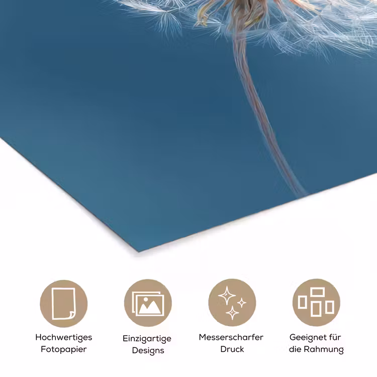 Paardenbloem - Wind - Blauw poster papier klein -tcloseup_DE