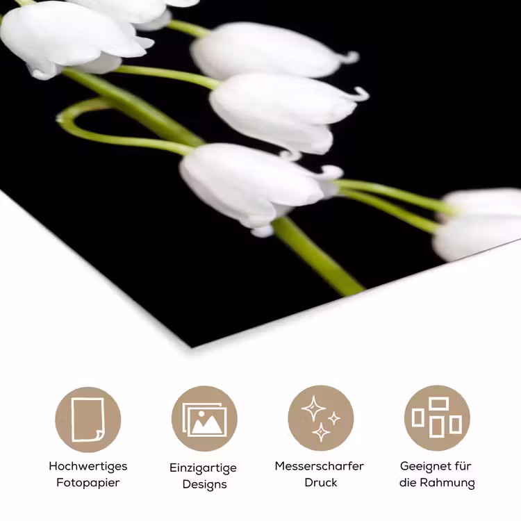 Lelietjes van dalen - Bloemen - Zwart - Flora poster papier klein -tcloseup_DE