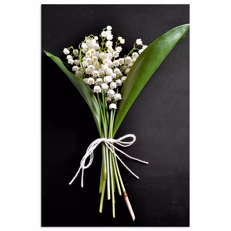 Lelietjes van dalen - Bloemen - Stilleven - Flora poster papier klein -3d