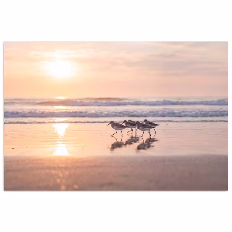 Zee - Vogels - Strand poster papier klein -3d