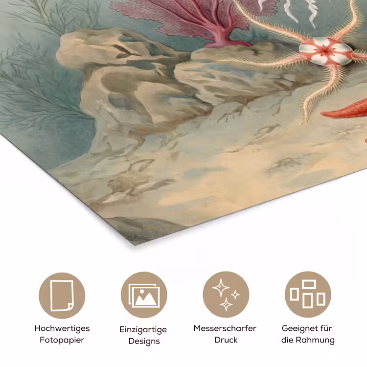 Zeeleven - Kwal - Onderwater - Illustratie - Beige poster papier klein -tcloseup_DE