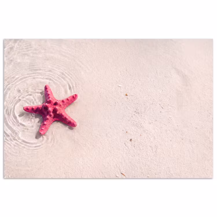 Zeeleven - Zeester - Strand - Roze - Water poster papier klein -3d