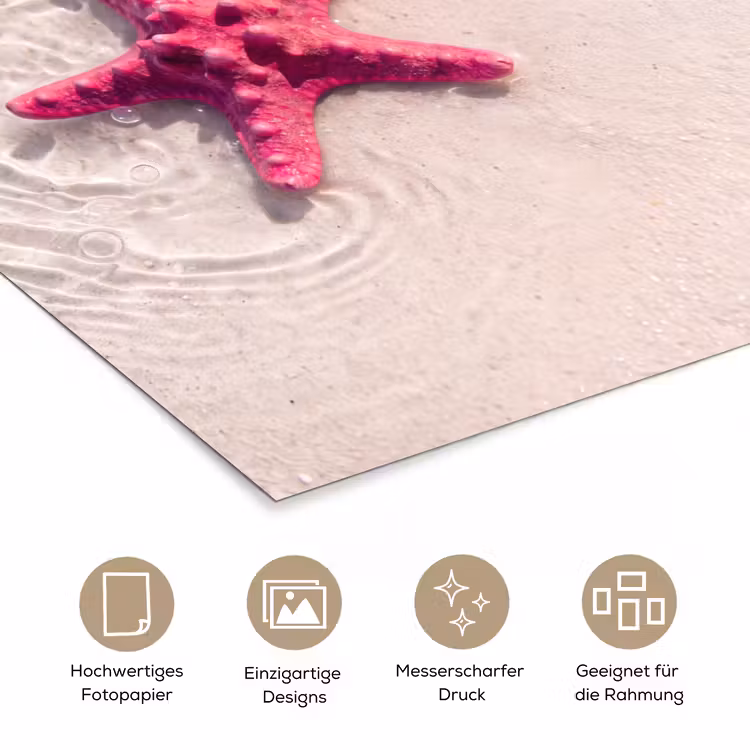 Zeeleven - Zeester - Strand - Roze - Water poster papier klein -tcloseup_DE