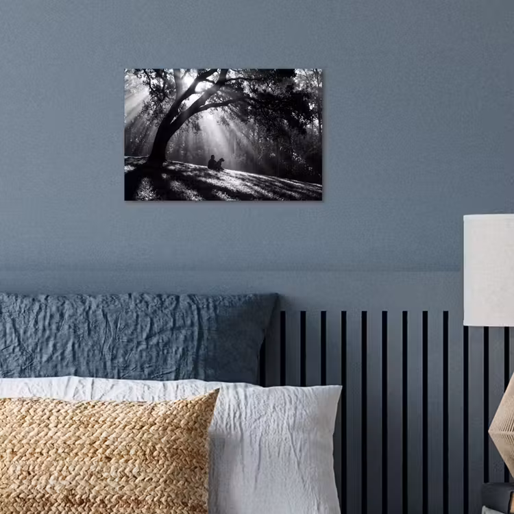 Mens - Hond - Natuur - Zwart-wit - Silhouet poster papier klein -sfeer2