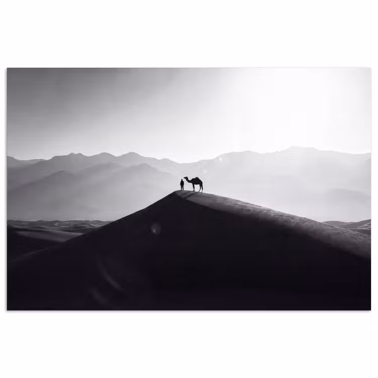 Mens - Kameel - Zandduin - Natuur - Monochroom poster papier klein -3d