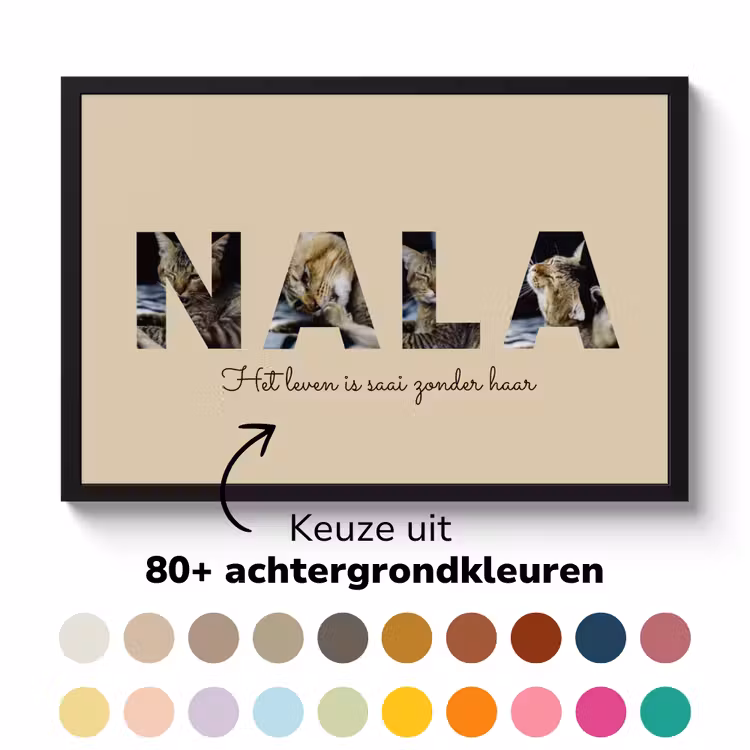 6e723193-a500-4aaa-b0a0-90d12528d7b2.png