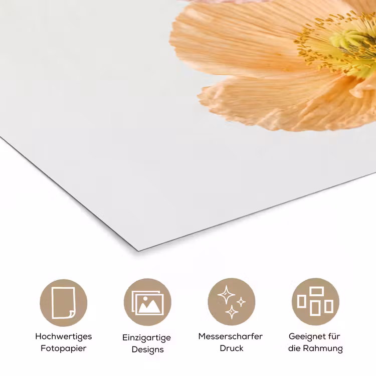 Papavers - Botanisch - Roze poster papier klein -tcloseup_DE