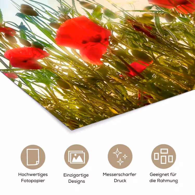 Klaprozen - Toscane - Zon - Rood - Blauw poster papier klein -tcloseup_DE