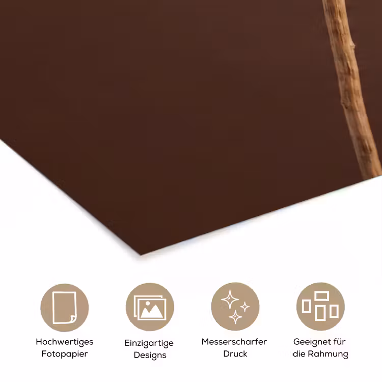 Papaverbol - Droogbloem - Bruin - Minimalistisch poster papier klein -tcloseup_DE