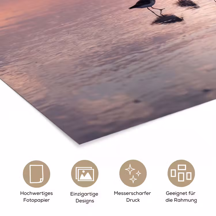 Meeuwen - Strand - Zee - Roze poster papier klein -tcloseup_DE