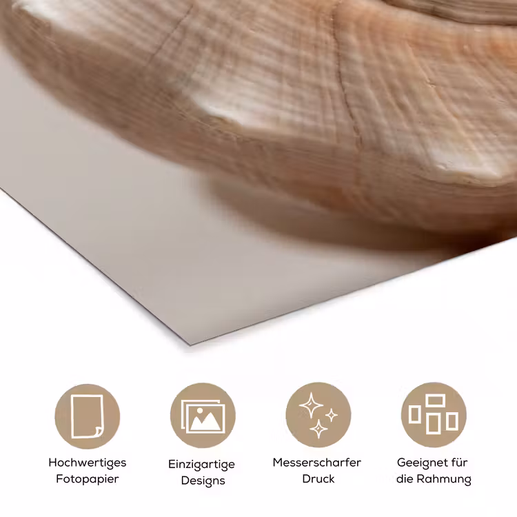 Schelp - Detail - Beige poster papier klein -tcloseup_DE