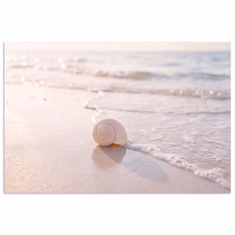 Zeeschelp - Strand - Zee - Natuur - Beige poster papier klein -3d