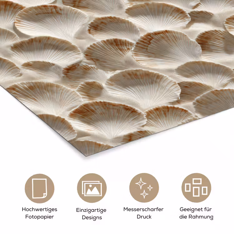 Schelpen - Waaiervorm - Wit poster papier klein 62 -tcloseup_DE