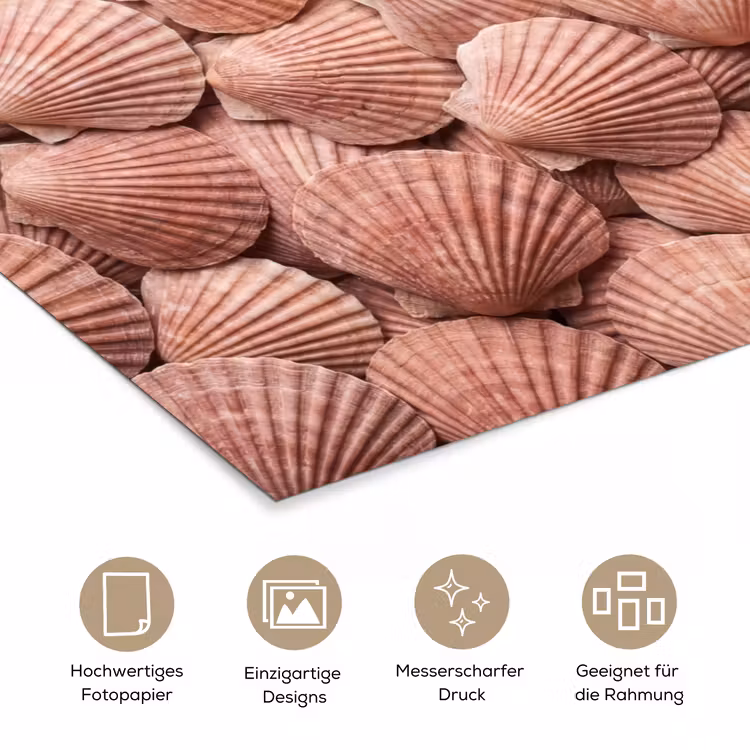 Schelpen - Patroon - Roze poster papier klein -tcloseup_DE