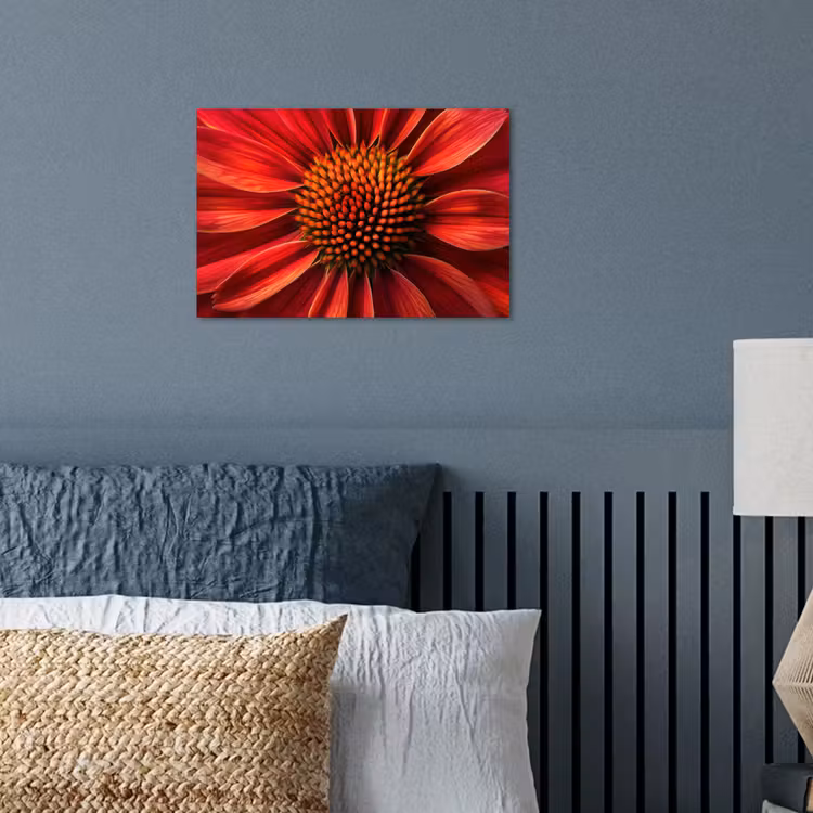 Close up - Bloem- Rood poster papier klein -sfeer2