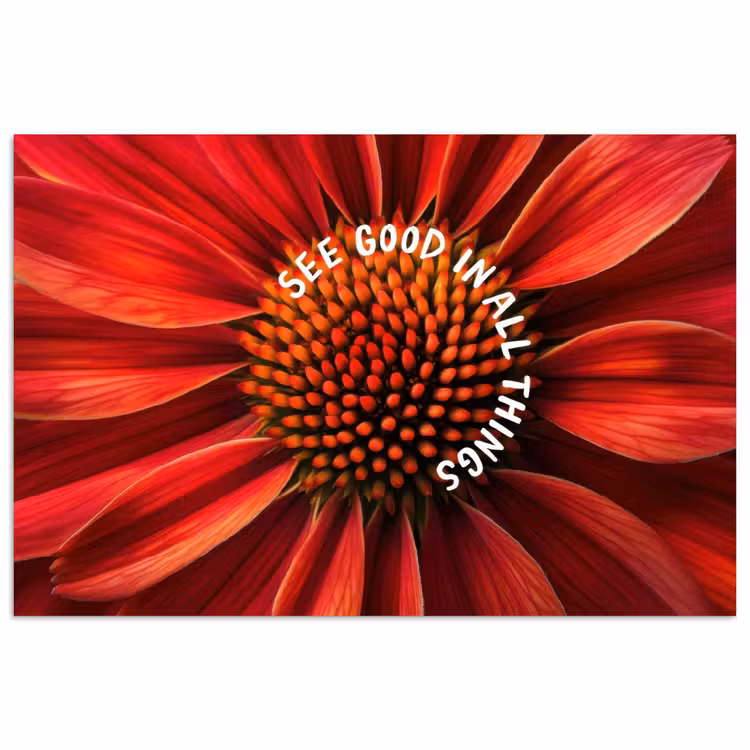 Close up - Bloem - Quote - Rood poster papier klein -3d