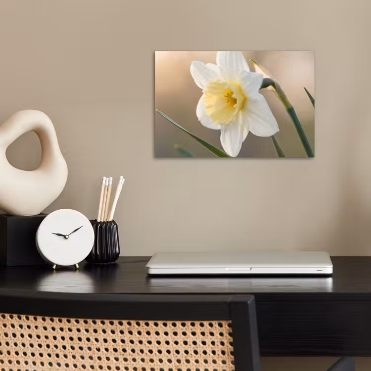 Narcis - Bloem - Minimalistisch poster papier klein -sfeer1