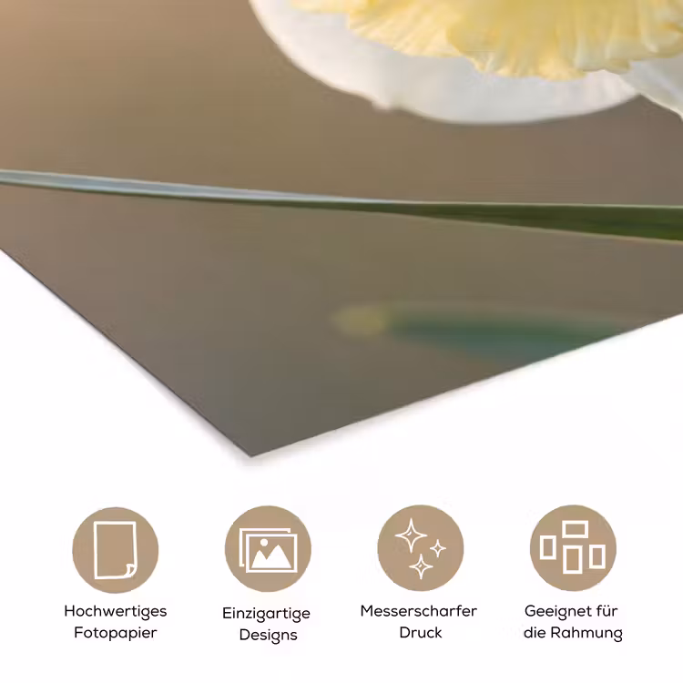 Narcis - Bloem - Minimalistisch poster papier klein -tcloseup_DE