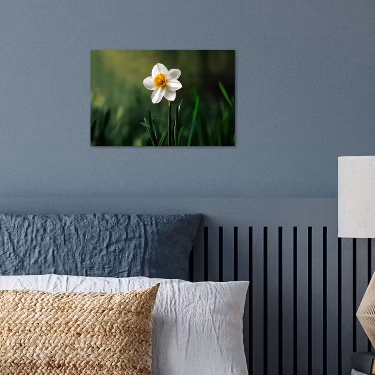 Narcis - Bloem - Wit - Grassprieten poster papier klein -sfeer2