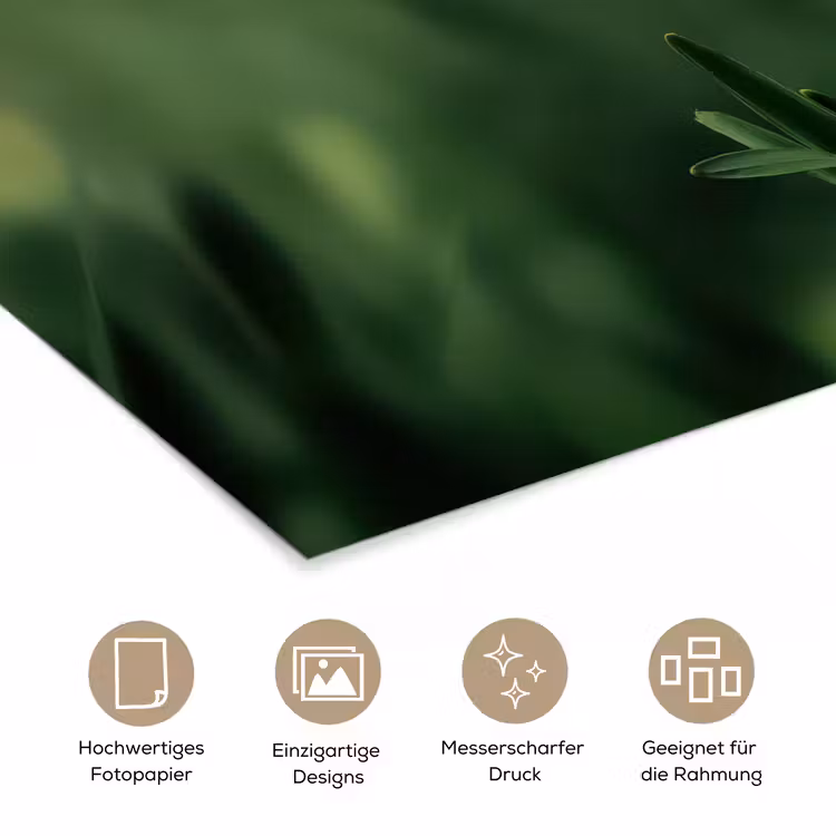 Narcis - Bloem - Wit - Grassprieten poster papier klein -tcloseup_DE