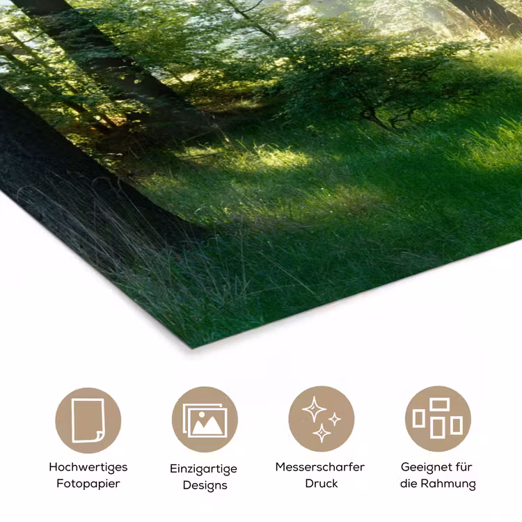 Natuur - Bomen - Bos - Groen - Zon - Gras - Planten poster papier klein -tcloseup_DE