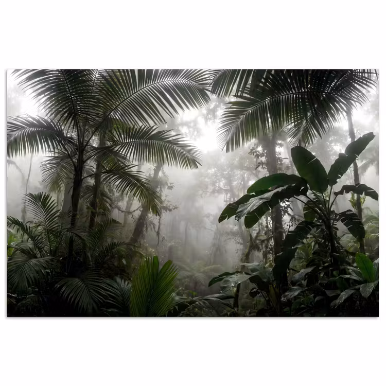 Natuur - Jungle - Mist - Groen - Bladeren poster papier klein -3d