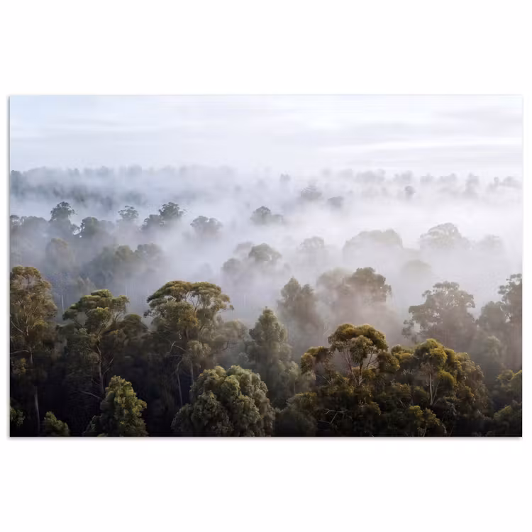Natuur - Mist - Bos - Ochtend - Goud poster papier klein -3d