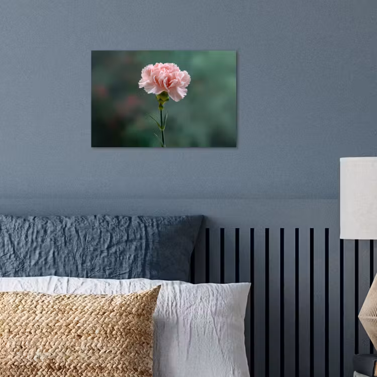 Anjer - Roze - Bloemblaadjes poster papier klein -sfeer2