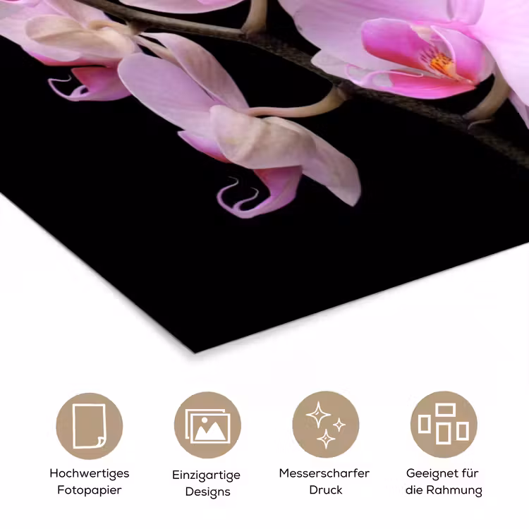Orchidee - Bloemen - Roze - Flora poster papier klein -tcloseup_DE