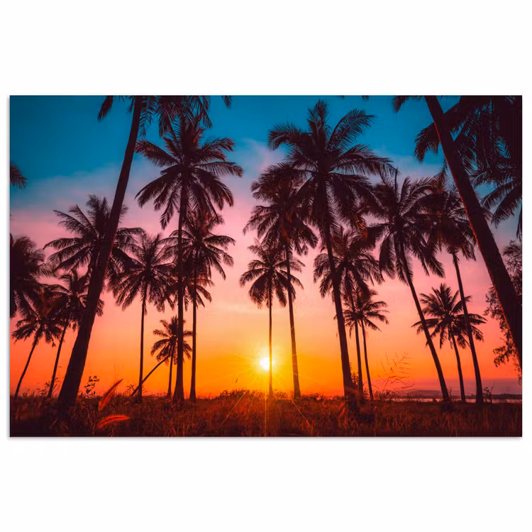 Palmboom - Zonsondergang - Horizon - Strand - Oranje - Roze poster papier klein -3d