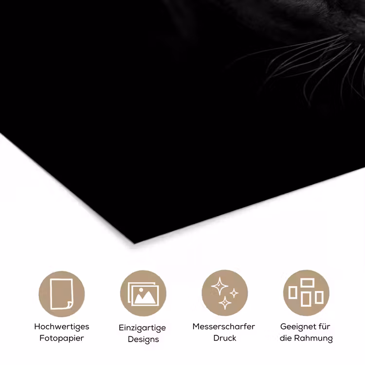 Panter - Dieren - Zwart - Ogen poster papier klein -tcloseup_DE
