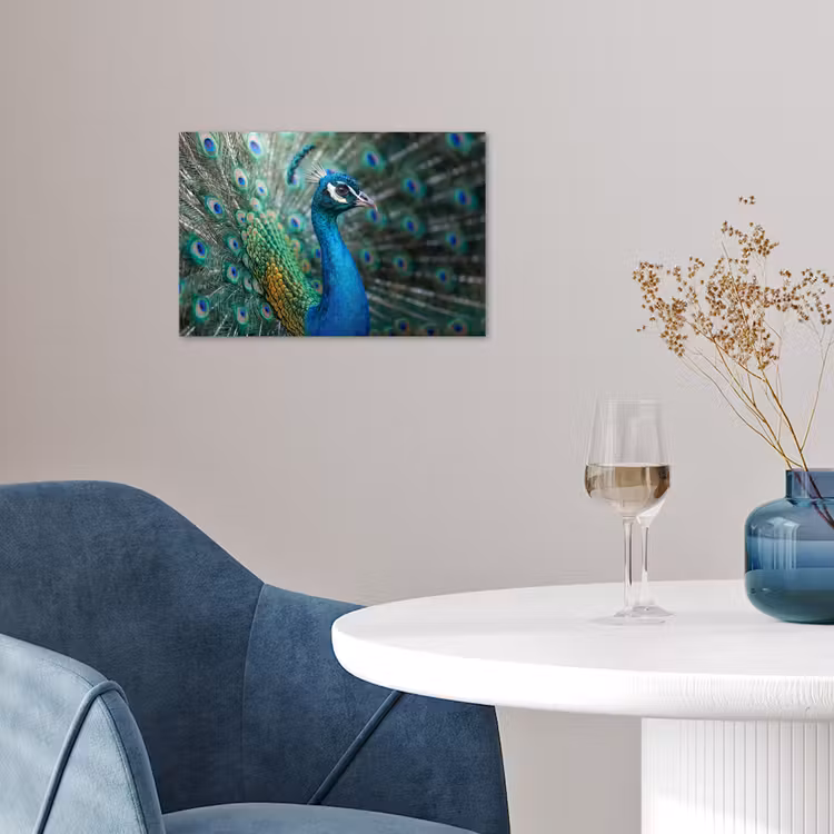 Pauw - Veren - Blauw poster papier klein -sfeer3