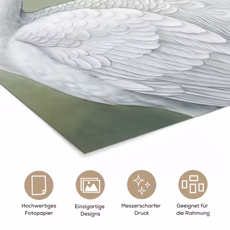 Pauwen - Wit - Natuur - Groen poster papier klein -tcloseup_DE