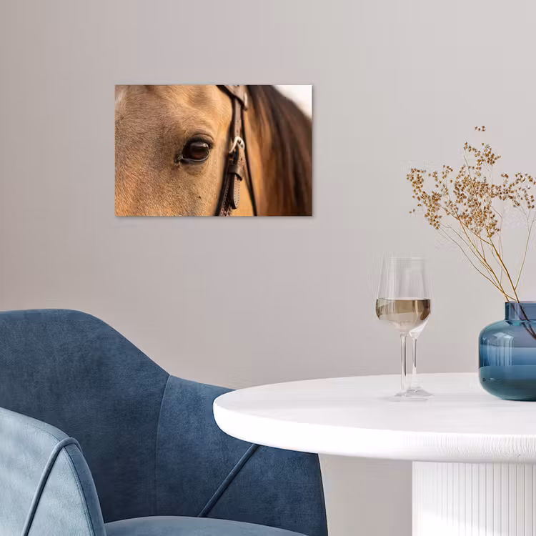 Paard - Oog - Bruin poster papier klein -sfeer3