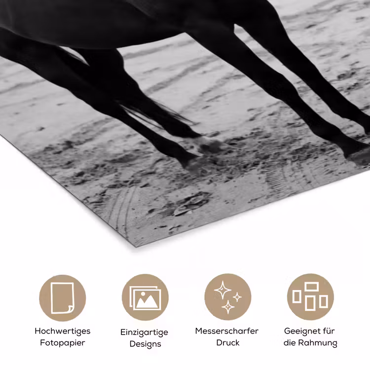 Paard - Auto - Zwart - Wit poster papier klein -tcloseup_DE