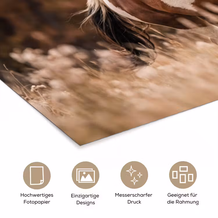 Paard - Bruin - Gras poster papier klein -tcloseup_DE
