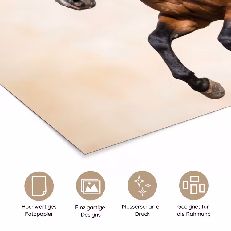 Paard - Galop - Energie poster papier klein -tcloseup_DE