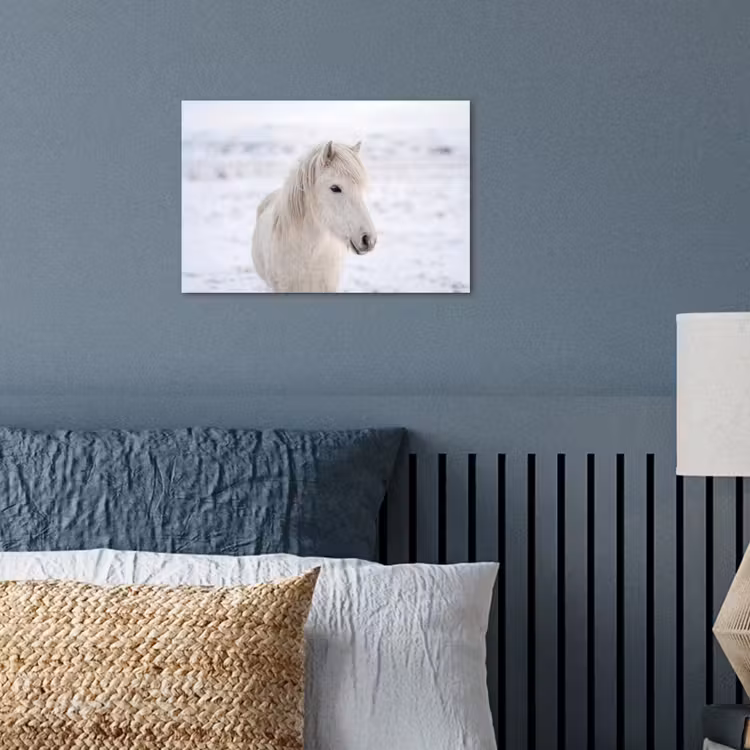 Paard - Kop - Winter - Dieren - Wit poster papier klein -sfeer2