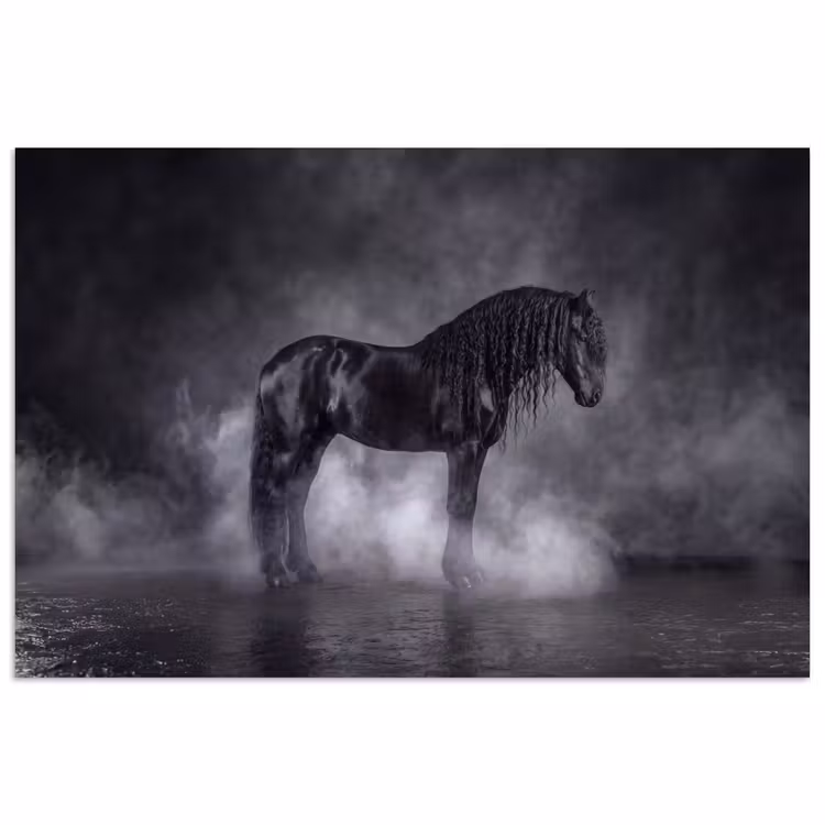 Paard - Magisch - Zwart poster papier klein -3d