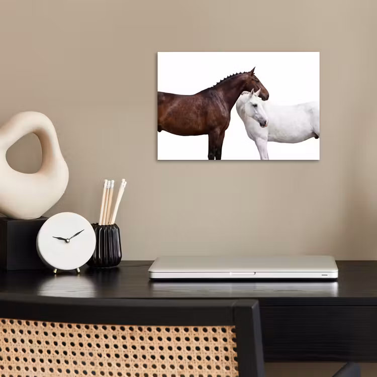 Paard - Modern - Balans poster papier klein -sfeer1