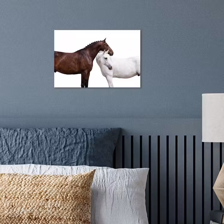 Paard - Modern - Balans poster papier klein -sfeer2