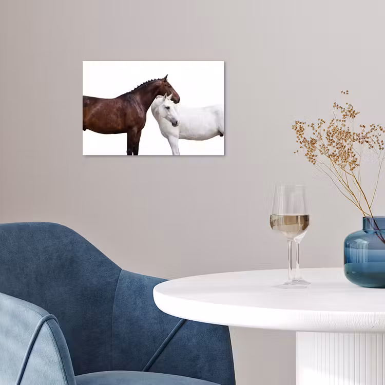 Paard - Modern - Balans poster papier klein -sfeer3