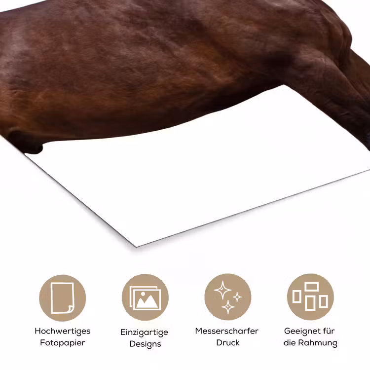 Paard - Modern - Balans poster papier klein -tcloseup_DE